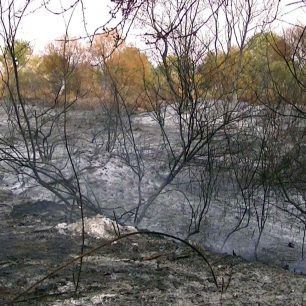 AliakmonasPyrkagia (3)